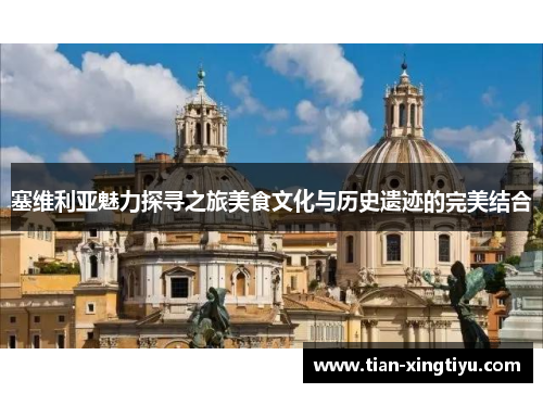 塞维利亚魅力探寻之旅美食文化与历史遗迹的完美结合