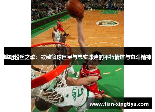 姚明粉丝之歌：致敬篮球巨星与忠实球迷的不朽情谊与奋斗精神