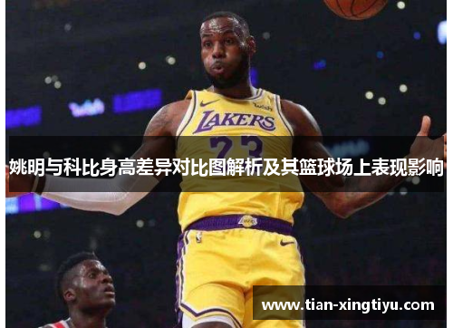 姚明与科比身高差异对比图解析及其篮球场上表现影响