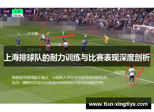 上海排球队的耐力训练与比赛表现深度剖析
